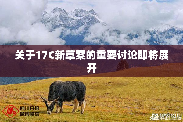 关于17C新草案的重要讨论即将展开