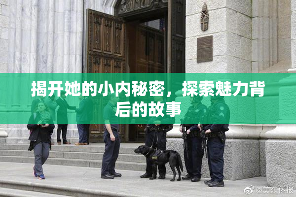 揭开她的小内秘密，探索魅力背后的故事