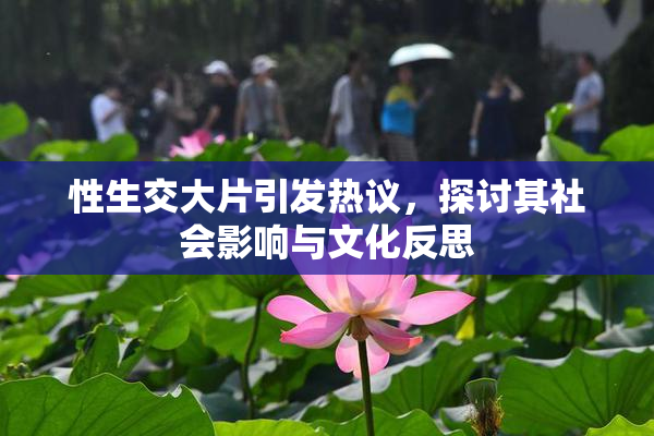 性生交大片引发热议，探讨其社会影响与文化反思