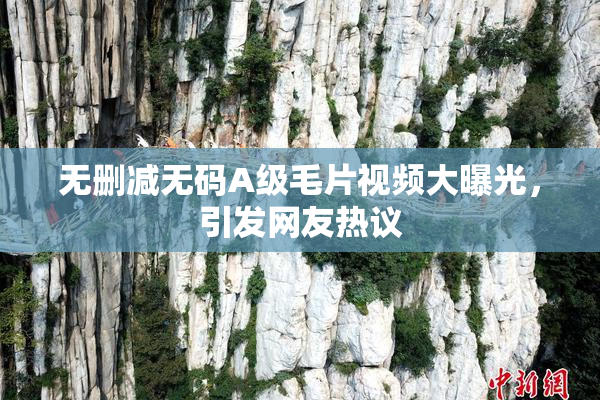 无删减无码A级毛片视频大曝光，引发网友热议