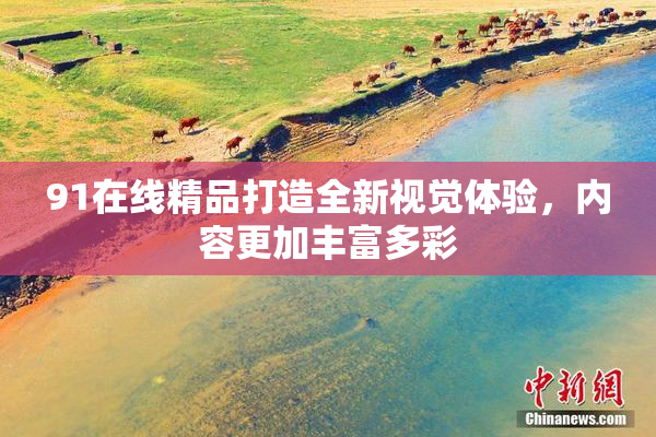 91在线精品打造全新视觉体验，内容更加丰富多彩
