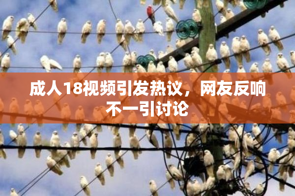 成人18视频引发热议，网友反响不一引讨论
