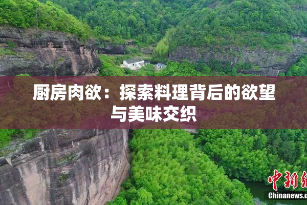 厨房肉欲：探索料理背后的欲望与美味交织