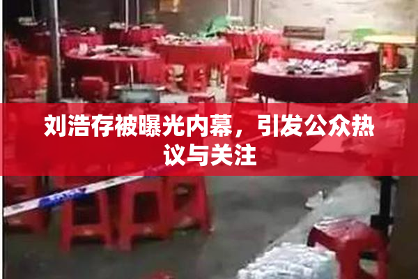 刘浩存被曝光内幕，引发公众热议与关注