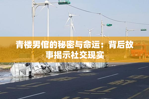 青楼男倌的秘密与命运：背后故事揭示社交现实