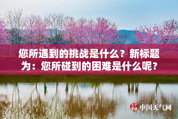 您所遇到的挑战是什么？新标题为：您所碰到的困难是什么呢？
