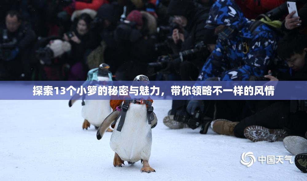 探索13个小箩的秘密与魅力，带你领略不一样的风情