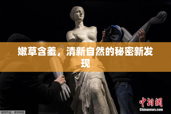 嫩草含羞，清新自然的秘密新发现