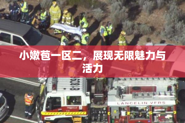 小嫩苞一区二，展现无限魅力与活力