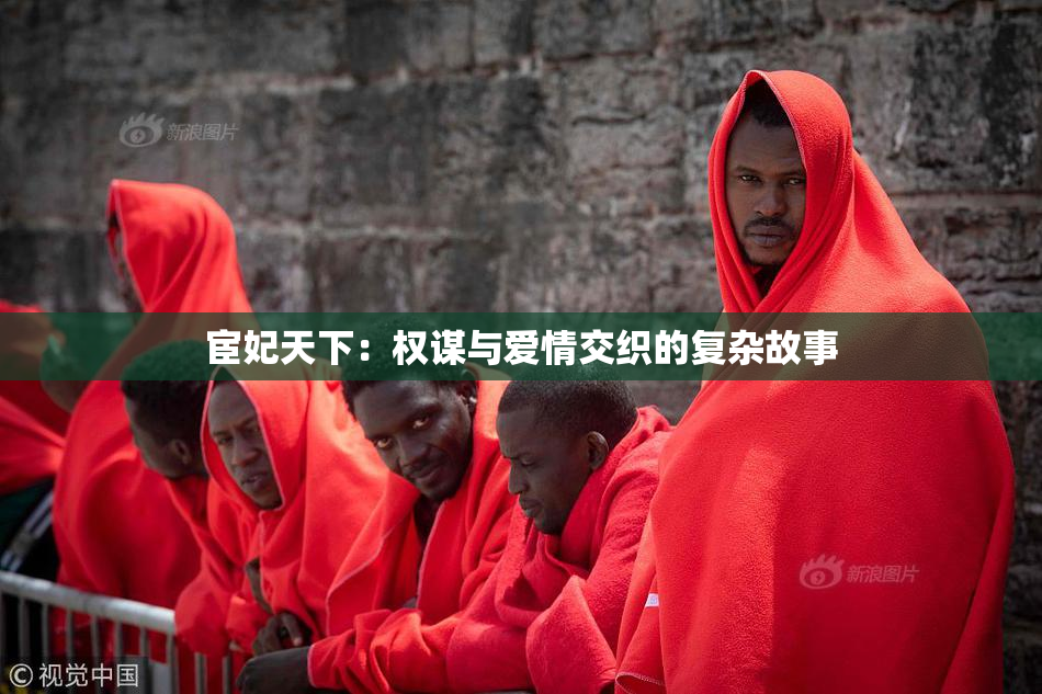 宦妃天下：权谋与爱情交织的复杂故事