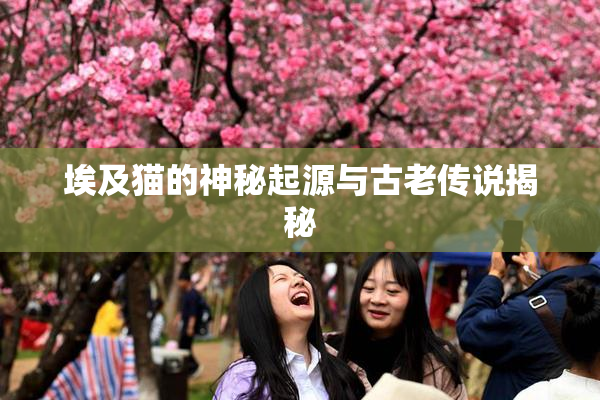埃及猫的神秘起源与古老传说揭秘