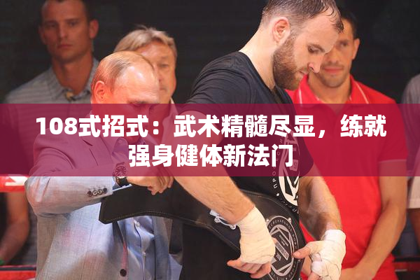 108式招式：武术精髓尽显，练就强身健体新法门