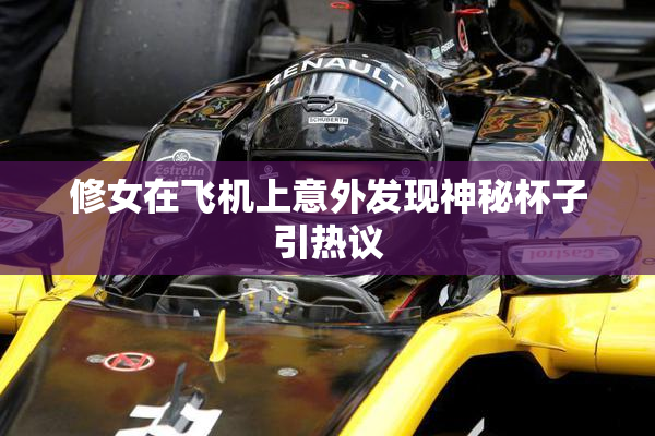 修女在飞机上意外发现神秘杯子引热议