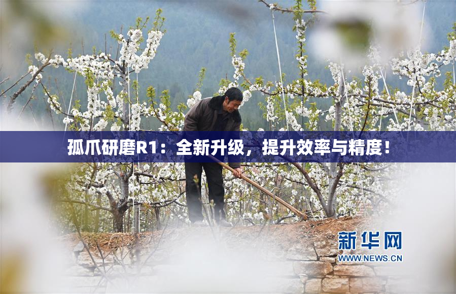 孤爪研磨R1：全新升级，提升效率与精度！