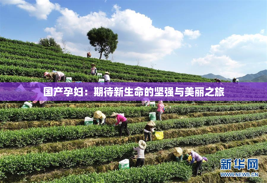国产孕妇：期待新生命的坚强与美丽之旅