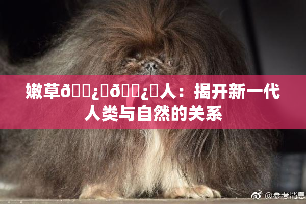嫩草🌿‌🌿‌人：揭开新一代人类与自然的关系
