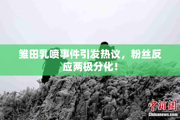 雏田乳喷事件引发热议，粉丝反应两极分化！