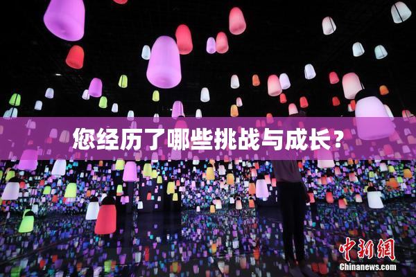 您经历了哪些挑战与成长？
