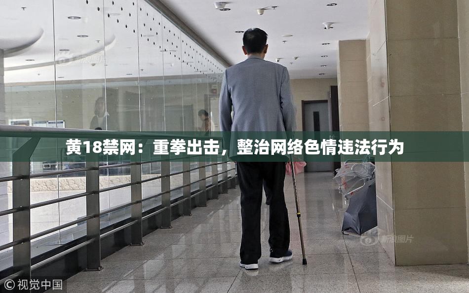 黄18禁网：重拳出击，整治网络色情违法行为