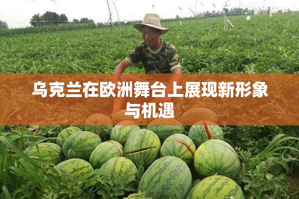 乌克兰在欧洲舞台上展现新形象与机遇