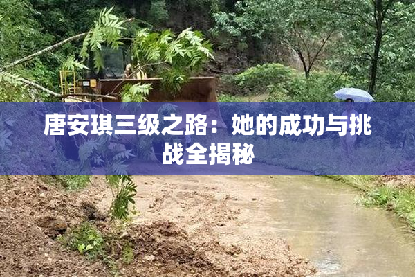 唐安琪三级之路：她的成功与挑战全揭秘