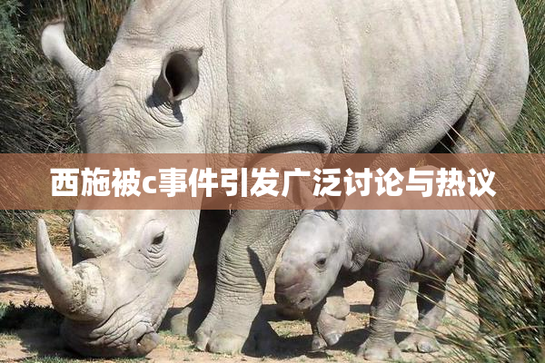 西施被c事件引发广泛讨论与热议