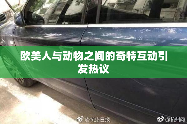 欧美人与动物之间的奇特互动引发热议