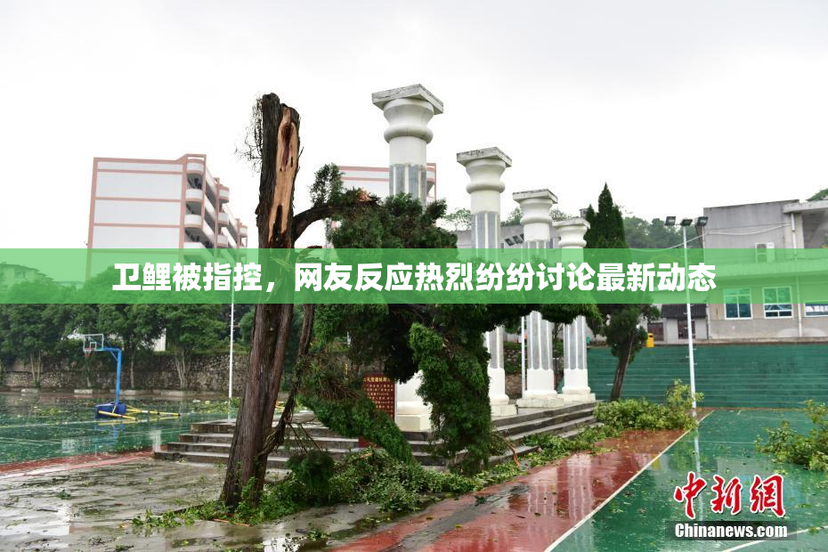 卫鲤被指控，网友反应热烈纷纷讨论最新动态