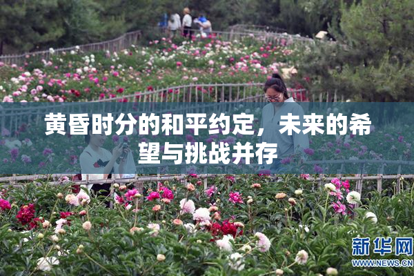 黄昏时分的和平约定，未来的希望与挑战并存