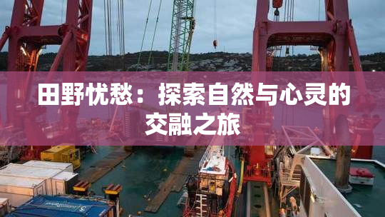 田野忧愁：探索自然与心灵的交融之旅