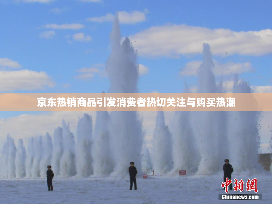 京东热销商品引发消费者热切关注与购买热潮