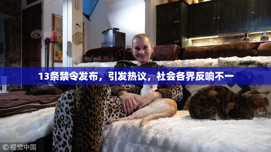 13条禁令发布，引发热议，社会各界反响不一