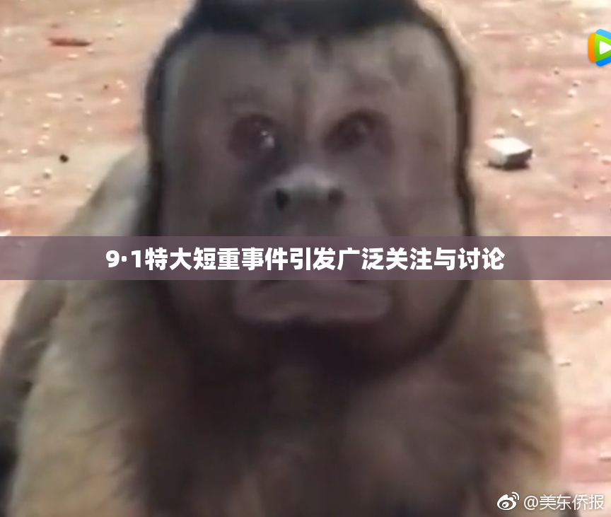 9·1特大短重事件引发广泛关注与讨论