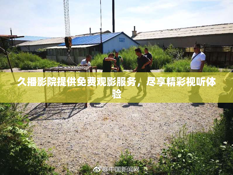 久播影院提供免费观影服务，尽享精彩视听体验