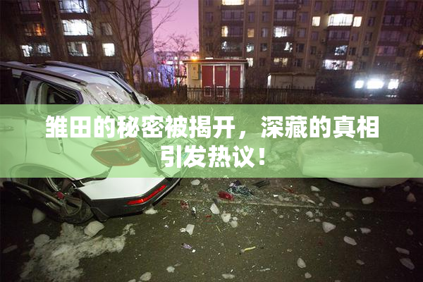 雏田的秘密被揭开，深藏的真相引发热议！