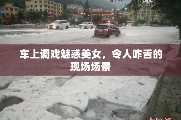 车上调戏魅惑美女，令人咋舌的现场场景