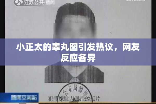 小正太的睾丸图引发热议，网友反应各异