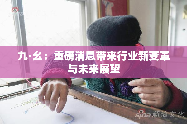 九·幺：重磅消息带来行业新变革与未来展望