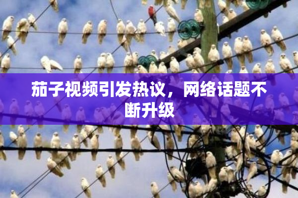 茄子视频引发热议，网络话题不断升级