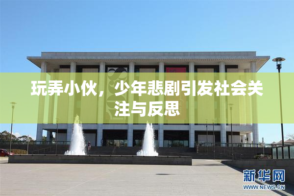 玩弄小伙，少年悲剧引发社会关注与反思