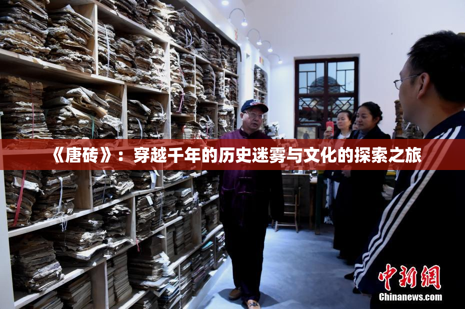 《唐砖》：穿越千年的历史迷雾与文化的探索之旅