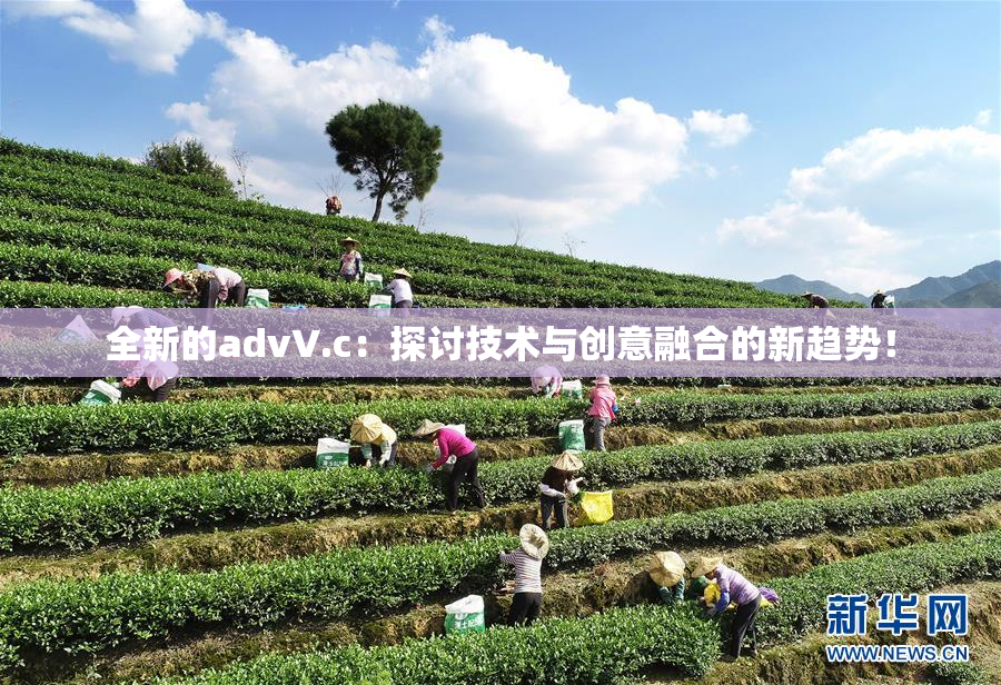 全新的advV.c：探讨技术与创意融合的新趋势！