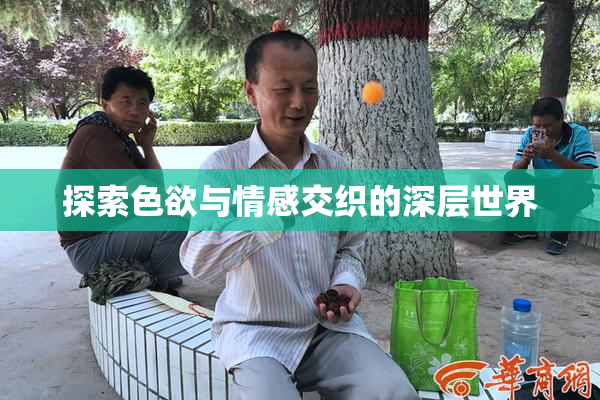 探索色欲与情感交织的深层世界