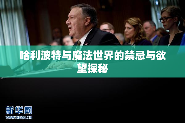 哈利波特与魔法世界的禁忌与欲望探秘