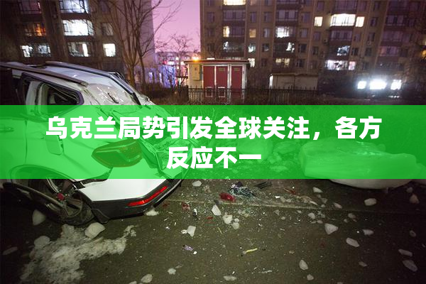 乌克兰局势引发全球关注，各方反应不一