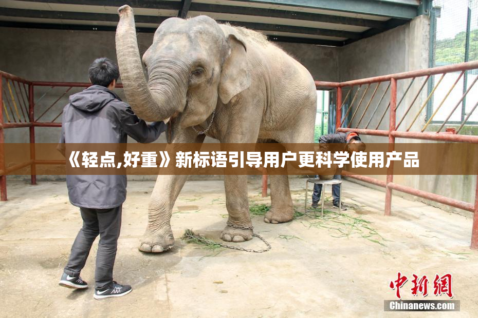 《轻点,好重》新标语引导用户更科学使用产品