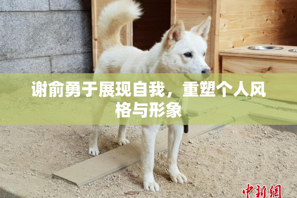 谢俞勇于展现自我，重塑个人风格与形象