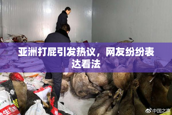 亚洲打屁引发热议，网友纷纷表达看法