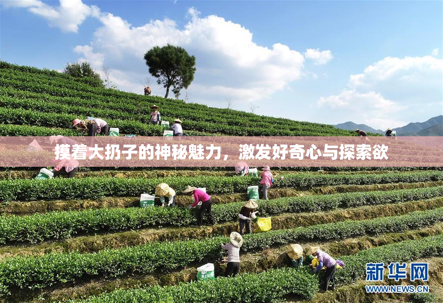 摸着大扔子的神秘魅力，激发好奇心与探索欲