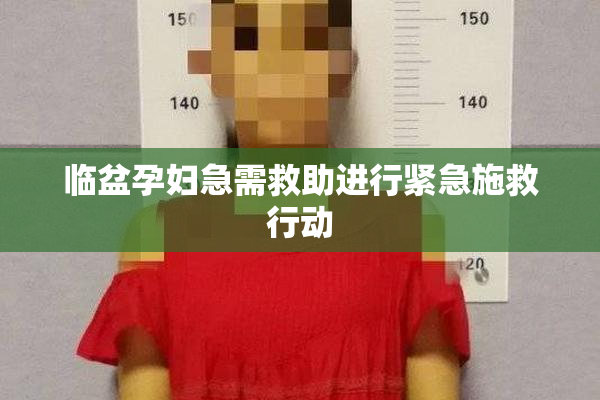 临盆孕妇急需救助进行紧急施救行动